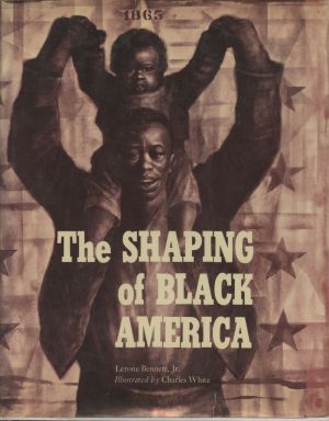 Shaping of Black America